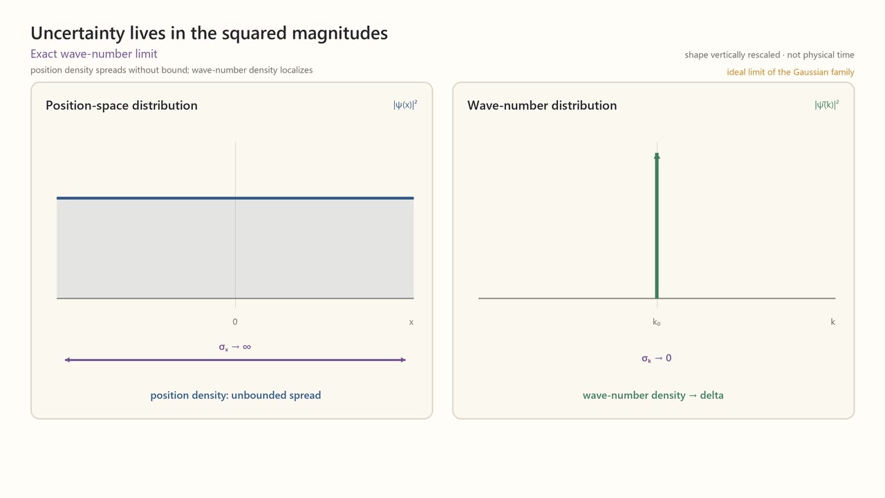 Decoded frame from symmetry-xk-squared-magnitudes.mp4 at 00:00.000 · frame 0