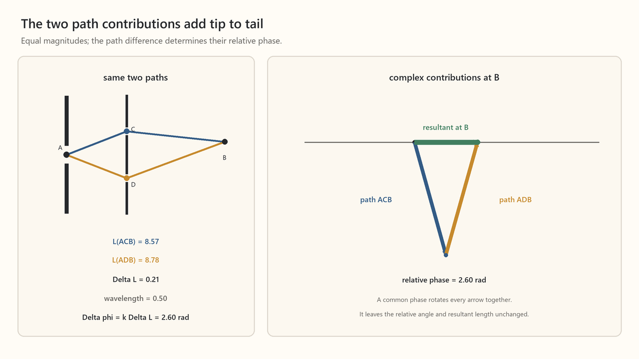 The two path contributions added tip-to-tail